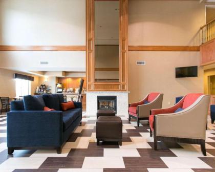 Comfort Suites Benton Harbor - St. Joseph - image 3