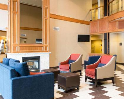 Comfort Suites Benton Harbor - St. Joseph - image 4