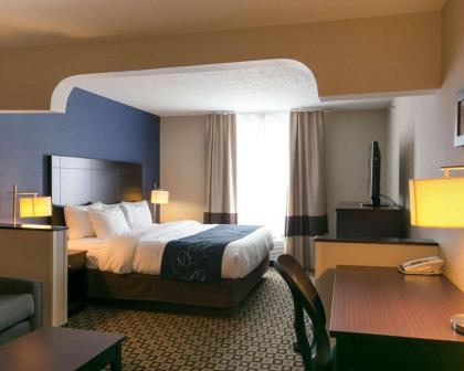 Comfort Suites Benton Harbor - St. Joseph - image 7