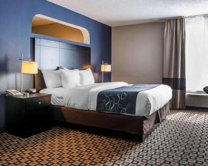 Comfort Suites Benton Harbor - St. Joseph - image 8