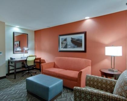 Hilton Garden Inn Benton Harbor - image 15