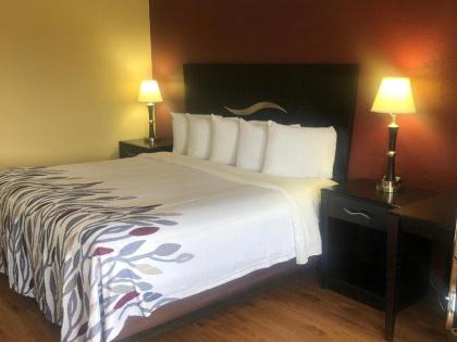 Red Roof Inn Berea - image 12