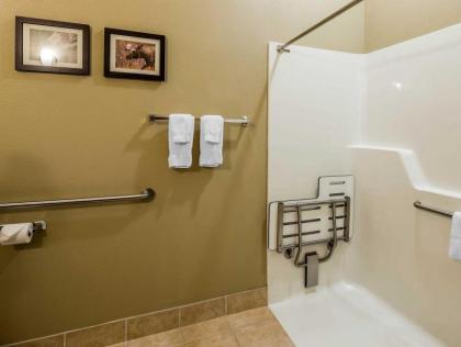 Sleep Inn Bessemer Helena - image 12