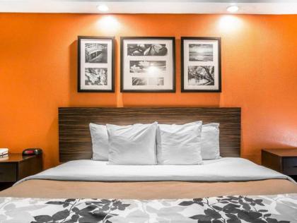 Sleep Inn Bessemer Helena - image 5