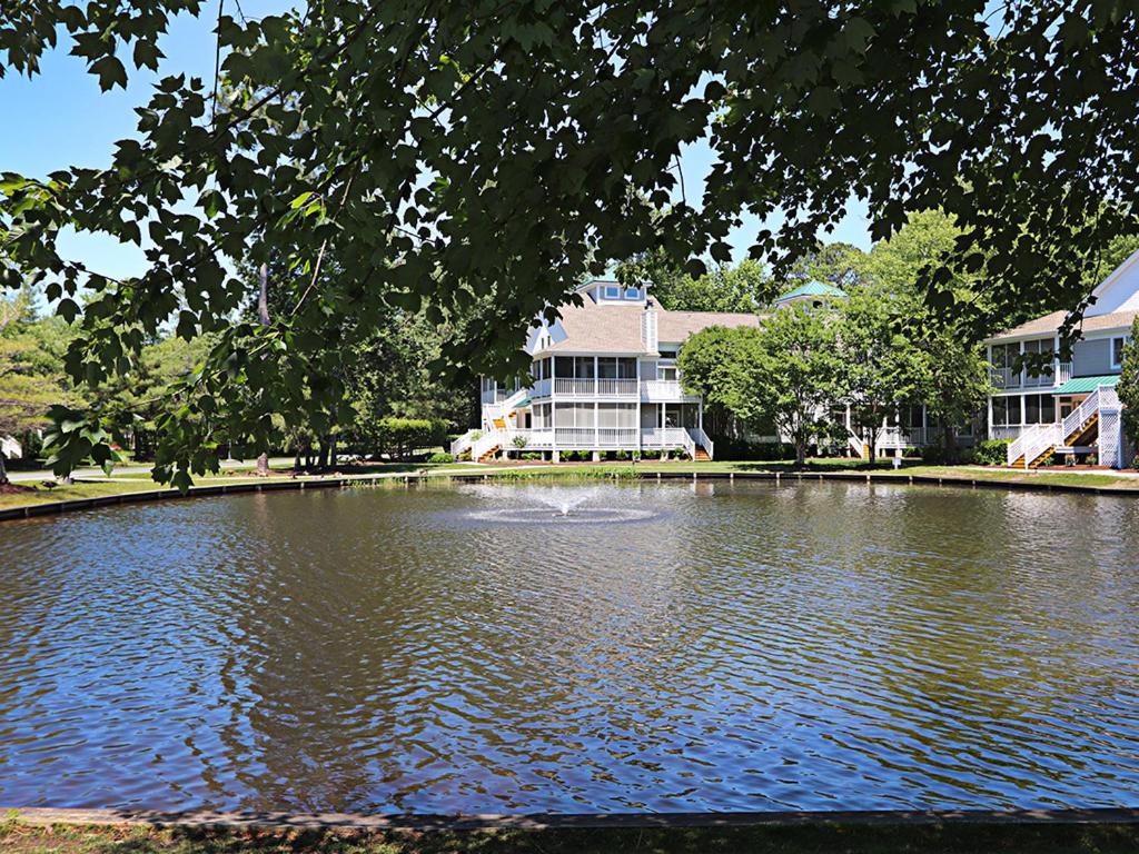 Sea Colony - 10008 Evergreen - main image