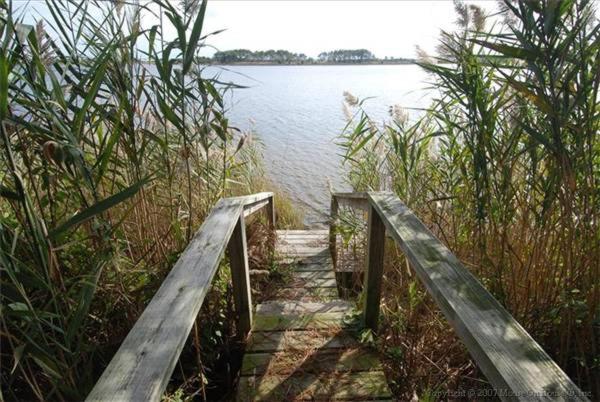Salt Pond - 7 Jeremy Branch - main image