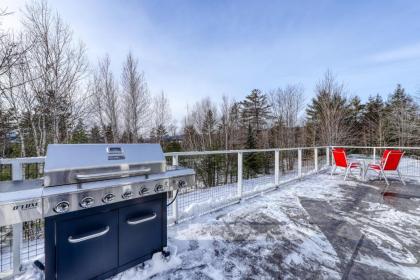 Contemporary Maine Retreat - image 15