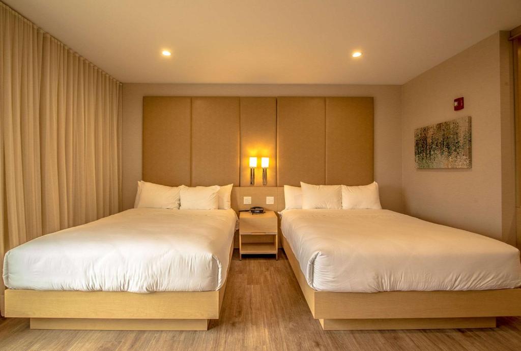 The Chandler at White Mountains Ascend Hotel Collection - image 3