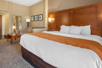 Comfort Suites Bethlehem Near Lehigh University and LVI Airport - image 7