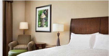 Hilton Garden Inn Bettendorf/ Quad Cities - image 6