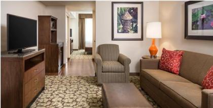Hilton Garden Inn Bettendorf/ Quad Cities - image 7