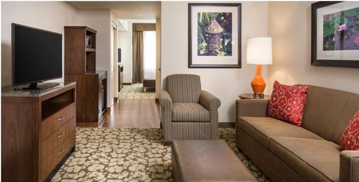 Hilton Garden Inn Bettendorf/ Quad Cities - image 7