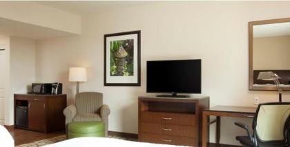 Hilton Garden Inn Bettendorf/ Quad Cities - image 8