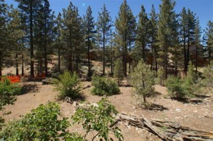 Cardinal Ridge by Big Bear Cool Cabins California