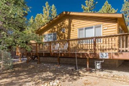 Fun for All by Big Bear Cool Cabins California