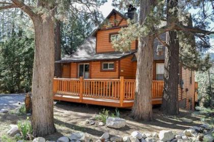 Bear Hug Hideaway Cabin