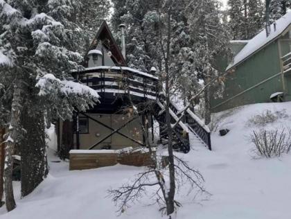 Bear Mountain Summit Lodge - image 15