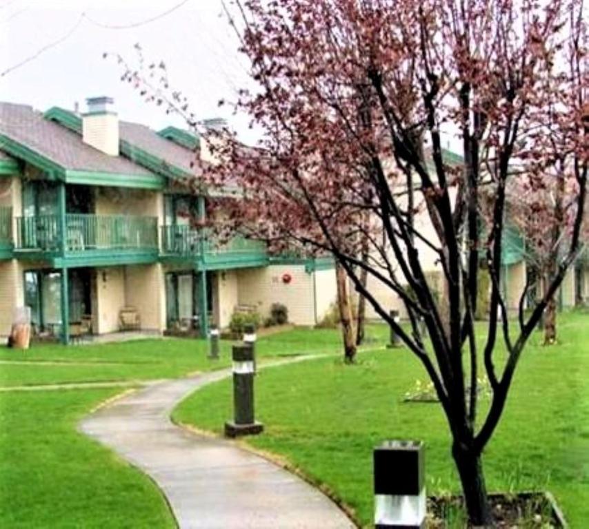 Lagonita Lodge - image 4