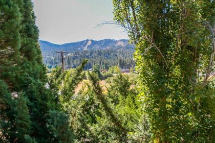 Ski Slope Views - image 15