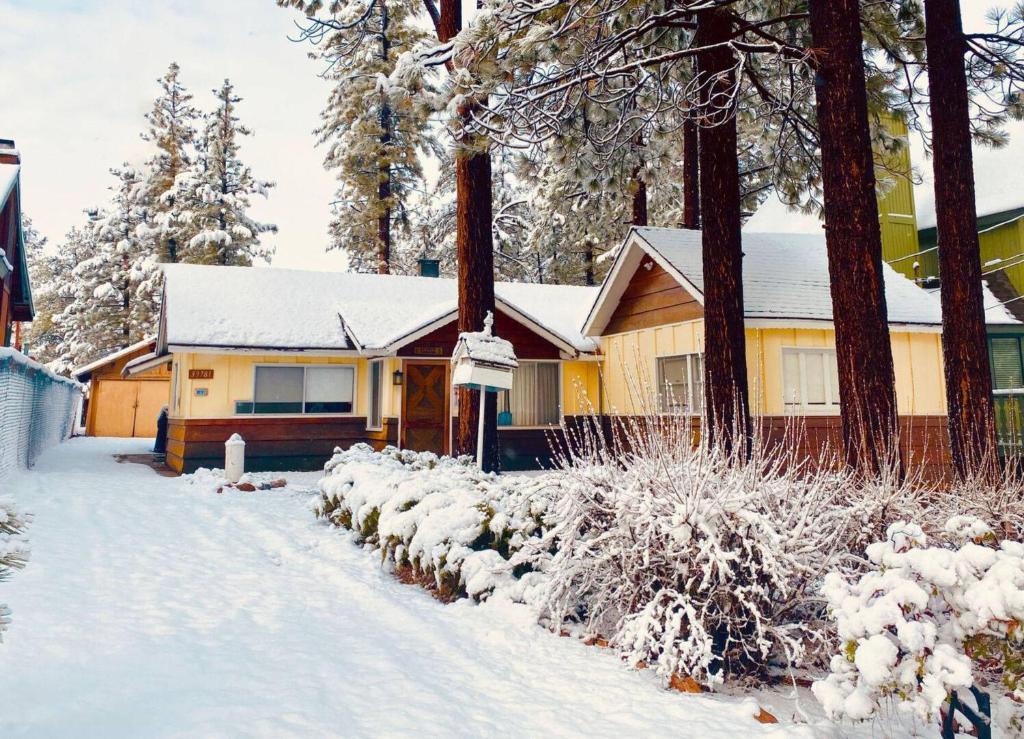 The Petite Cabin - image 2