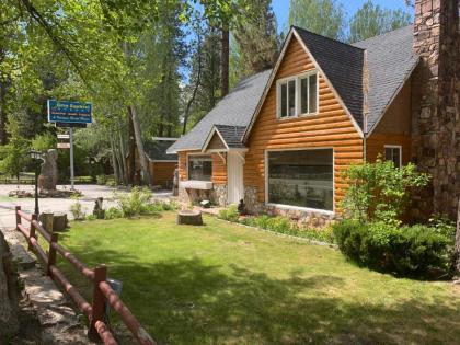 Grey Squirrel Resort - image 2