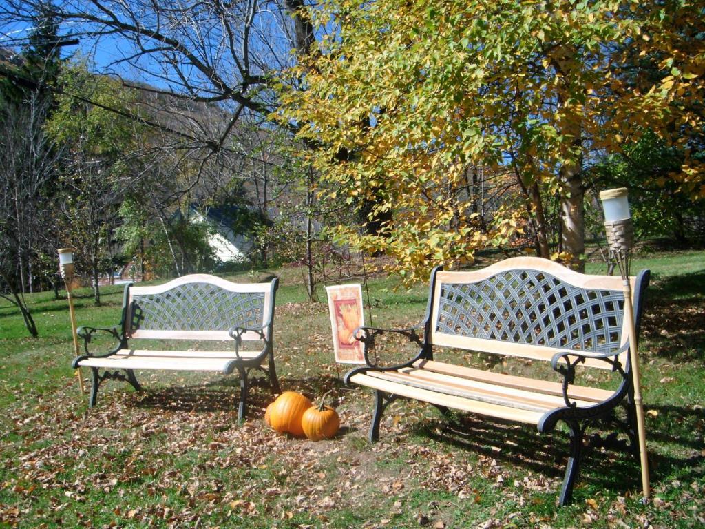 Starlite Motel & Suites - image 2