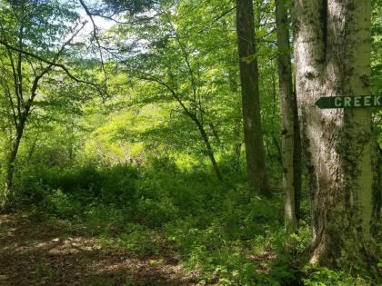 Tentrr - Big Indian Wilderness Paradise - image 10