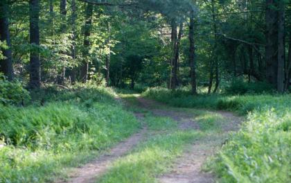 Tentrr - Big Indian Wilderness Paradise - image 15