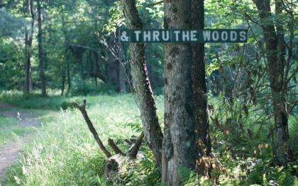 Tentrr - Big Indian Wilderness Paradise - image 6