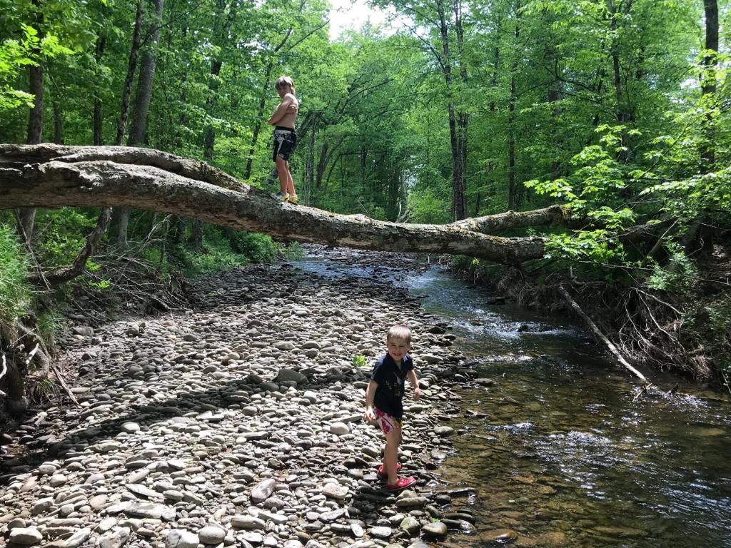 Tentrr - Big Indian Wilderness Paradise - image 7