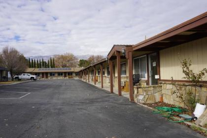 Bristlecone motel