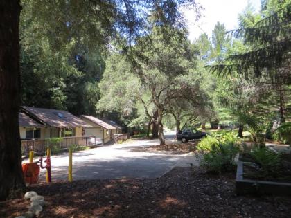 Big Sur Lodge - image 1
