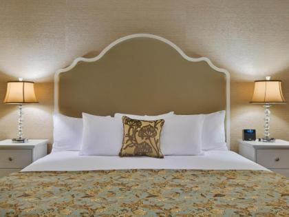 Amish View Inn & Suites - image 14