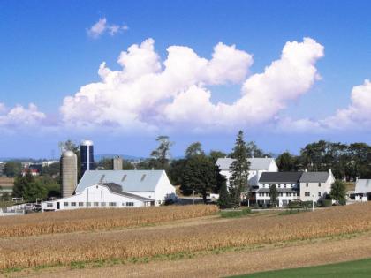 Amish View Inn & Suites - image 9