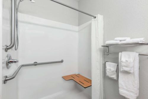 Microtel Inn & Suites by Wyndham Hoover/Birmingham - image 2