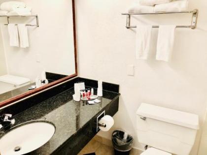 Ramada by Wyndham Birmingham Airport - image 5