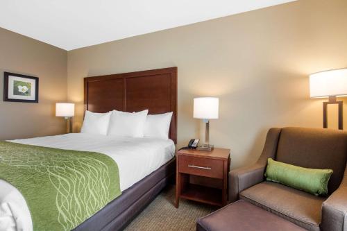 Comfort Inn & Suites At CrossPlex Village - image 4