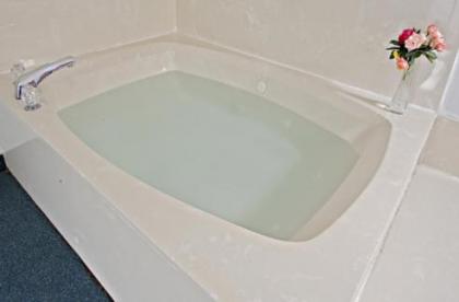 Americas Best Value Inn - Bishopville - image 3