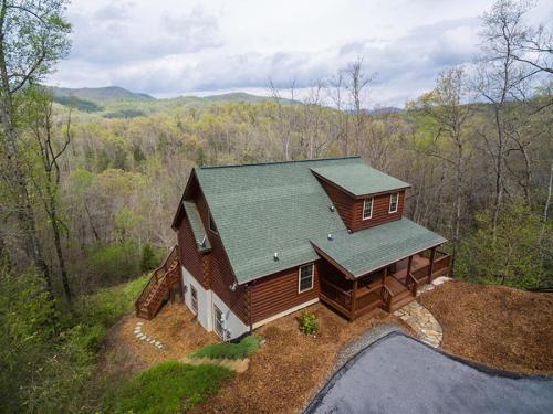 Blue Bear Cabin - main image
