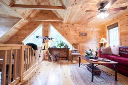 Blue Bear Cabin - image 2