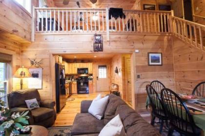 Blue Bear Cabin - image 5