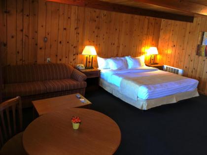 Prospector Motor Lodge - image 10
