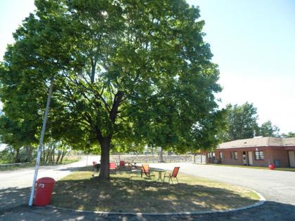Prospector Motor Lodge - image 2