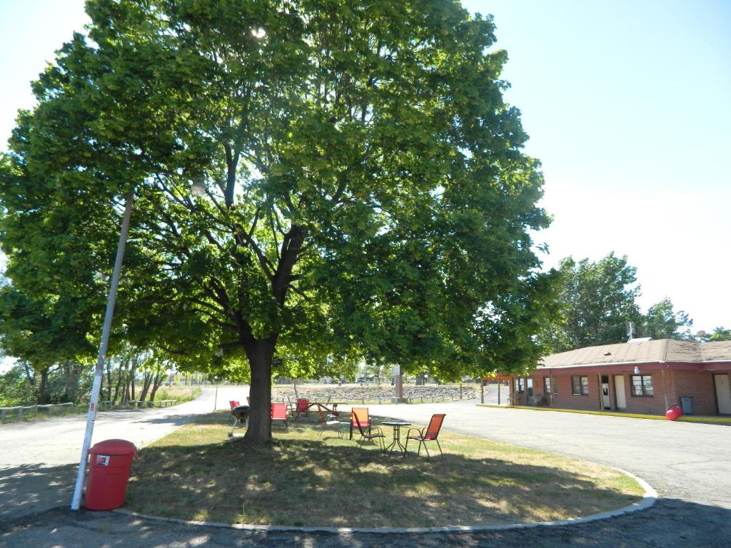 Prospector Motor Lodge - image 2