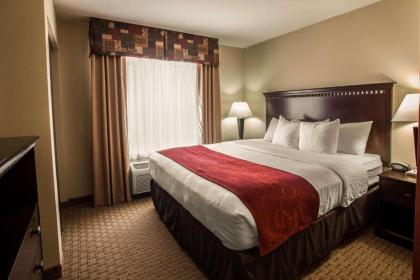 Comfort Suites Bloomington I-55 and I-74 - image 3