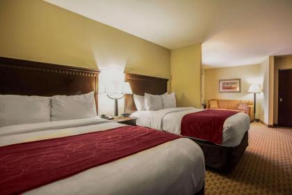 Comfort Suites Bloomington I-55 and I-74 - image 9