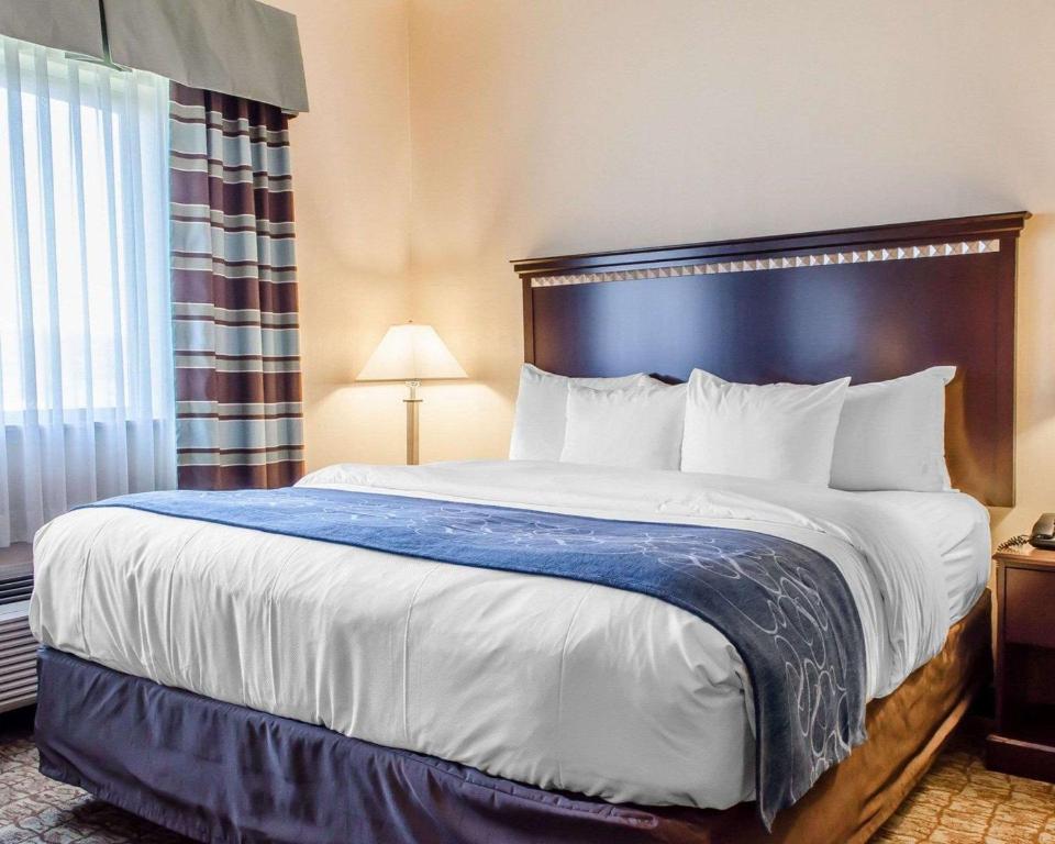 Comfort Suites Bloomsburg - image 3
