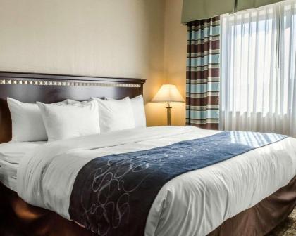 Comfort Suites Bloomsburg - image 4