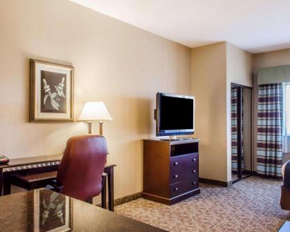 Comfort Suites Bloomsburg - image 8