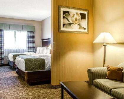 Comfort Suites Bloomsburg - image 9